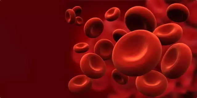 科学家体外培育出造血干细胞　有望绕开骨髓移植治疗白血病 科普知识 第1张