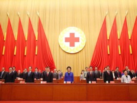 参加中国红十字会第十次全国会员代表大会分组讨论时的发言