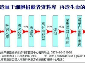 怎样成为一名造血干细胞捐献者?