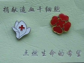 造血干细胞捐献宣传口号