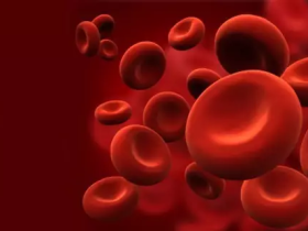 科学家体外培育出造血干细胞 有望绕开骨髓移植治疗白血病