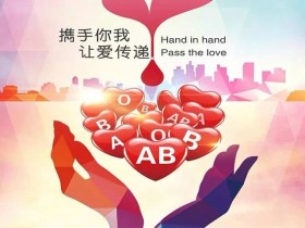 关于表彰2016-2017年度无偿献血奉献奖金奖等奖项获奖者的决定