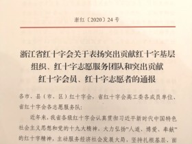浙江省2020年红十字系统“突出贡献”单位（个人）评选揭晓