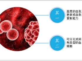 2019年中国造血干细胞入库数、移植数、及库容使用率及体外扩增策略分析