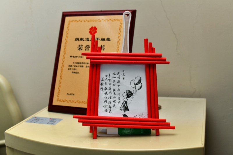 （539）郑也珍 – 乐清月嫂千里外架起生命桥 – 2019年12月20日 捐献名录 第2张
