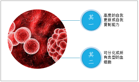2019年中国造血干细胞入库数、移植数、及库容使用率及体外扩增策略分析 科普知识 第1张